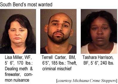 South Bend's most wanted: Lisa Miller, WF, 5'6", 170 lbs, dealing meth & firewater, common nuisance; Terrell Carter, BM, 6'5", 185 lbs, theft, criminal mischief; Tashara Harrison, BF, 5'6", 240 lbs (Michiana Crime Stoppeers)