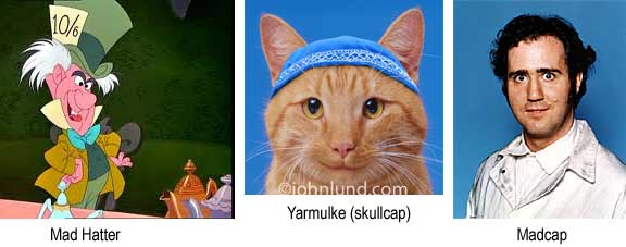 Mad Hatter; Yarmulke (skullcap) on kitten; Madcap (Andy Kaufman)