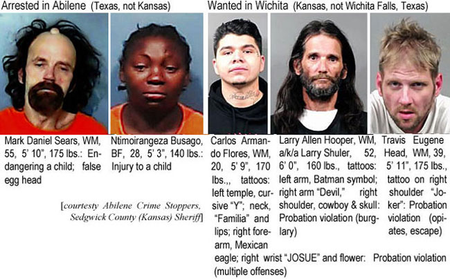 markdanl.jpg Arrested in Abilene (Texas, not Kansas): Mark Daniel Sears, WM, 55, 5'10", 175 lbs, endangering a child, false egg head; Ntimoirangeza Busago, BF, 28, 5'3", 140 lbs, injury to a child; Wanted in Wichita (Kansas, not Wichita Falls, Texas): Carlos Amando Flores, WM, 20, 5'9", 170 lbs, tattoos left temple, cursive "Y", neck "Familia" and lips, right forearm Mexican eagle, right wrist "JOSUE" and flower, probation violation (multiple offenses); Larry Allen Hooper, WM, a/k/a Larry Shuler, 52, 6'0", 160 lbs, tattoos left arm Batman symbol, right arm "Devil", right shouldeer cowboy & skull, probation violation (burglary); Travis Eugene Head, WM, 39, 5'11", 175 lbs, tattoo on right shoulder "Joker", probation violation (opiates, escape (Abilene Crime Stoppers, Sedgwick County Kansas Sheriff)