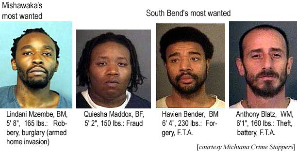 Mishawaka's most wanted: Lindani Mzembe; BM, 5'8", 165 lbs, robbery, burglary (armed home invasion); South Bend's most wanted: Quiesha Maddox, BF, 5'2", 150 lbs, fraud; Havien Bender, BM, 6'4", 230 lbs, forgery, FTA; Anthony Blatz, WM, 6'1", 160 lbs, theft, battery, FTA (Michiana Crime Stoppers)