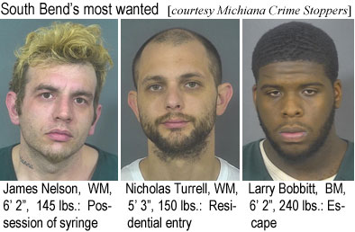 nelsnich.jpg South Bend's most wanted (Michiana Crime Stoppers): James Nelson, WM, 6'2", 245 lbs, possession of syringe; Nicholas Turrell, WM, 5'3", 150 lbs, residential entry; Larry Bobbitt, BM, 6'2", 240 lbs, escape