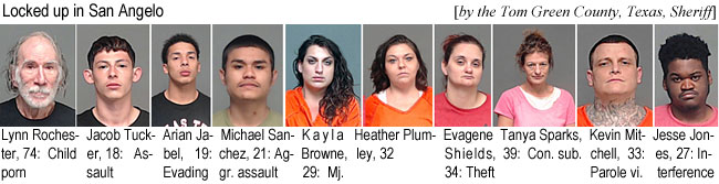 rocheste.jpg Locked up in San Angelo (by the Tom Green County, Texas,Sheriff): Lynn Rochester, 74,child porn; Jacob Tucker, 18, assault; Arian Jabel, 19, evading; Michael Sanchez, 21, aggr. assault; Kayla Browne,29, mj; Heather Plumley, 32; Evagene Shields, 34, theft; Tanya Sparks, 39, con. sub.; Kevin Mitchell, 33, parole vi.; Jesse Jones, 27, interference