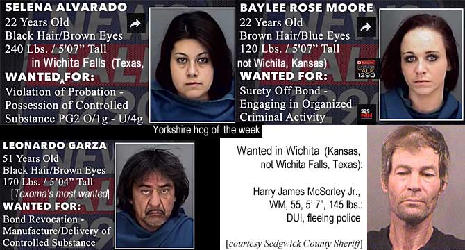 selenaba,jpg. Wanted in Wichita Falls (Texas, not Wichita, Kansas): Selena Alvarado, 22, 240 lbs, 5'7", violation of probation, possession of controlled substand pg2 o/1g-u/4g, Yorkshire hog of the week; Baylee Rose Moore, 22, 120 lbs, 5'7", surety off bond, engaging in organized criminal activity; Leonardo Garza, 51, 170 lbs, 5'4", bond revocation, manufacture / delivery of controlled substance (Texoma's most wanted); Wanted in Wichita (Kansas, not Wichita Falls, Texas): Harry James McSorley Jr., WM, 55, 5'7", 145 lbs, DUI, fleeing police (Sedgwick County Sheriff)