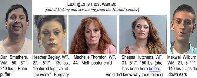 smathers.jpg Lexington's most wanted (pulled kicking and screaming from the Herald-Leader: Dan Smathers, WM, 50, 6'1", 240 lbs, peter puffer; Heather begley, WF, 27, 5'7", 130 lbs, 'featured fugitive of the week', burglary; Machelle Thornton, WF, 44, meth poster child; Sheena Hutchens, WF, 31, 5'7", 150 lbs (she has been here once before - we didn't know why then, either); Maxwell Wilburn, WM, 21, 5'11", 140 lbs, upside down ears