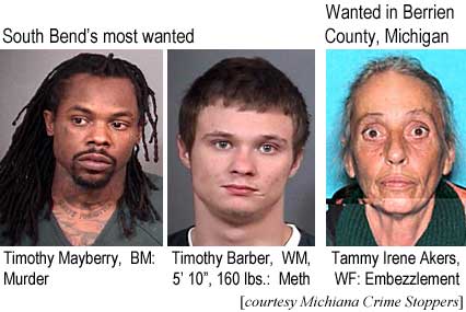 timothy2.jpg South Bend's most wanted: Timothy Mayberry, BM, murder; Timothy Barber, WM, 5'10", 160 lbs, meth; Wanted in Berrien County, Michigan: Tammy Irene Akers, WF, embezzlement (Michiana Crime Stoppers)
