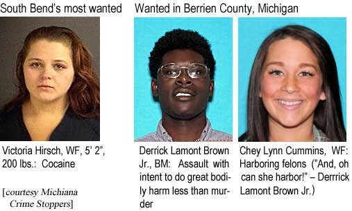 South Bend's most wanted: Victoria Hirsch, WF, 5'2", 200 lbs, cocaine; Wanted in Berrien County, Michigan: Derrick Lamont Brown Jr., BM, assault with intent to do great bodily harm less than murder; Chey Lynn Cummins, WF, harboring felons, ("And, oh can she harbor!" – Derrick Lamont Brown Jr.) (Michiana Crime Stoppers)