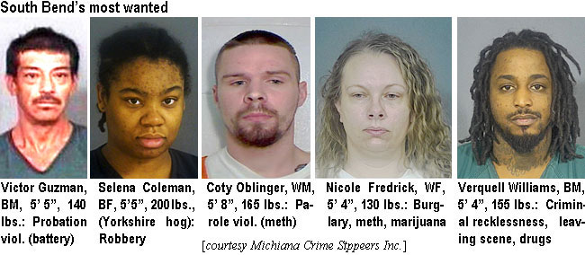 victorgz.jpg South Bend's most wanted: Victor Guzman, BM, 5'5", 140 lbs, probaton viol. (battery); Selena Coleman, BF, 5'5", 200 lbs (Yorkshire hog), robbery; Coty Oblinger, WM, 5'8", 165 lbs, parole viol. (meth); Nicole Fredrick, WF, 5'4", 130 lbs, burglary, meth, marijuana; Verquell Williams, BM, 5'4", 155 lbs, criminal recklessness, leaving scene, drugs (Michiana Crime Stoppers Inc.)