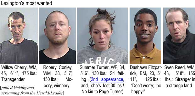 wilosven.jpg Lexington's most wanted: Wilow Cherry, WM, 45, 6'1", 175 lbs, transgender; Robery Conley, WM, 38, 5'7", 150 lbs, mobery, wimpery; Summer Turner, WF, 34, 5'6", 130 lbs, still falling (2nd appearance, and, she's lost 30 lbs! no kin to Page Turner); Dashawn Fitzpatrick, BM, 23, 5'11", 125 lbs, Don't worry, be happy!; Sven Reed, WM, 43, 5'8", 155 lbs, stranger in a strange land (pulled kicking and screaming from the Herald-Leader)