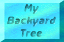 daphbackyrdbut2.gif (8140 bytes)