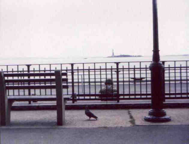 photo of man sitting on bench in Battery Park