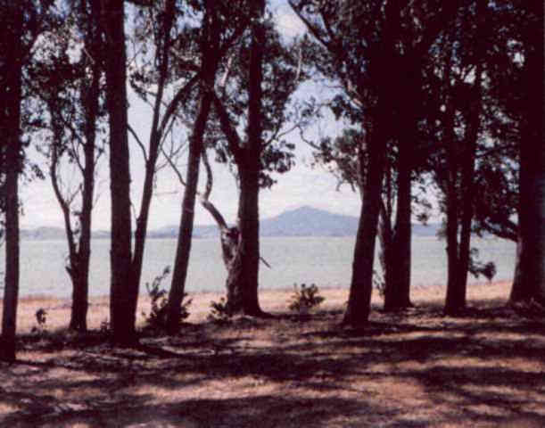 photo of Mt. Tamalpais