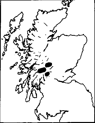 The three glens in eastern Argyll from which were the cradle of the Gragarach: Orchy, Strae and Lochy.