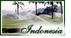 indonesia.jpg (4667 bytes)
