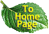 Follow the leaf to the home page