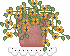 Flower Pot Graphic