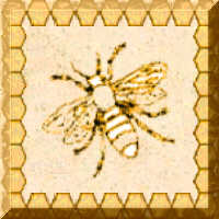 Beehive Button