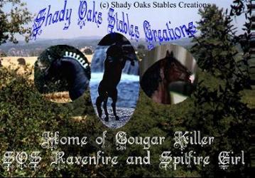 Welcome to Shady Oaks Stables Creations