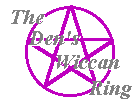  The Den's Wiccan Ring