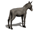 donkey3_bucking_sm_wht.gif (7198 bytes)