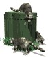 raccoons_in_garbage_sm_wht.gif (8149 bytes)