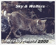 Weekly Award 2000