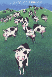 herd