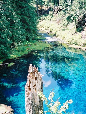 Blue Pool and its outlet from the top of (dry) Tamolitch Falls