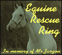 another great site in the Equine Rescue WebRing