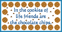 In the cookies of life, friends are the chocolate chips