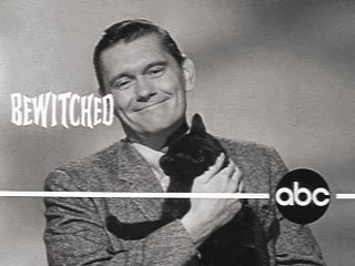 Bewitched York Cat Promo!