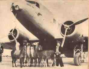 Llama and aircraft
