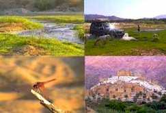 Go to Ben's Wadi Al Lith trip - rock walled villages, forts, streams, camels, 4x4