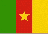 [Cameroon flag]