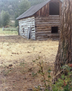 [Barn on Gellatly Rd, shot on Kodak 160 portrait Print film]
