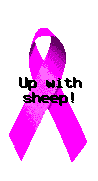 Up With Sheep