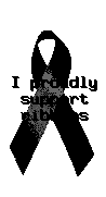 I Proudly Support Ribbons