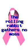 The Rolling Rabbit Gathers No Moss