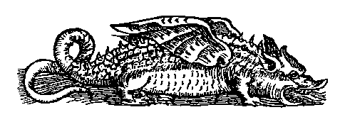 Dragon (Münster), 5 kb