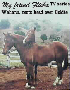 image Wahana and Goldie
