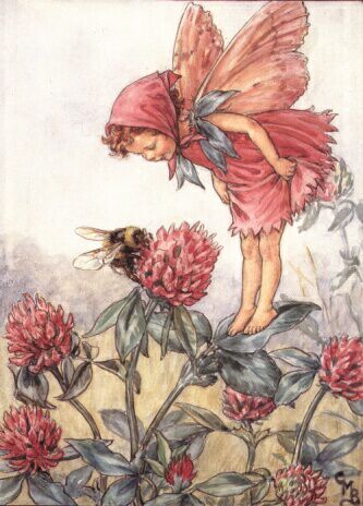 Red Clover Fairy by Cicily Mary Barker