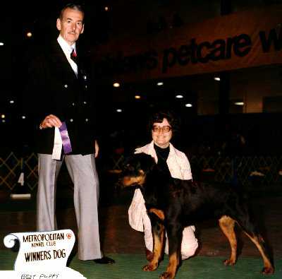 Winners Dog from the Puppy Classes