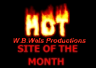 Hot Site of the Month