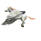 flyinghorse.gif (12152 bytes)