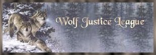 The Wolf Justic League; Very beautiful and
informative site for all ages!!
