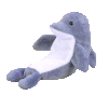 Echo the dolphin