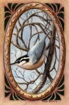 Nuthatch, N. Dansie  1997, watercolor, private collection