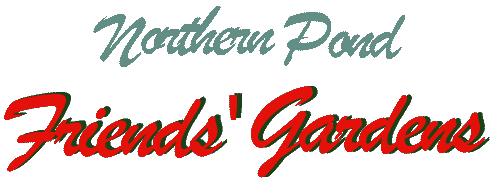 Northern Pond - Friends' Gardens