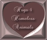 Hugs 4 Homeless Animals