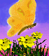 [Picture of butterfly flying over field of yellow flowers]