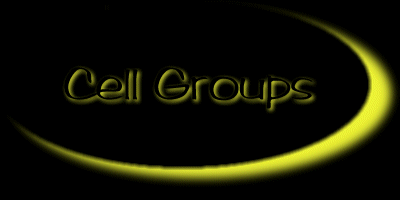 Find a new family with one of our cell groups!